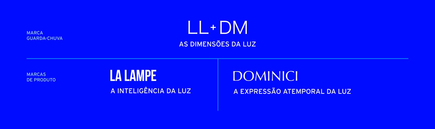 LL+DM